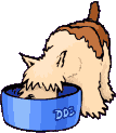 perro comiendo